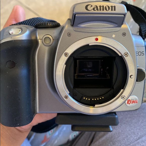 Meet your Posher, Nora - Picture 9 of 16